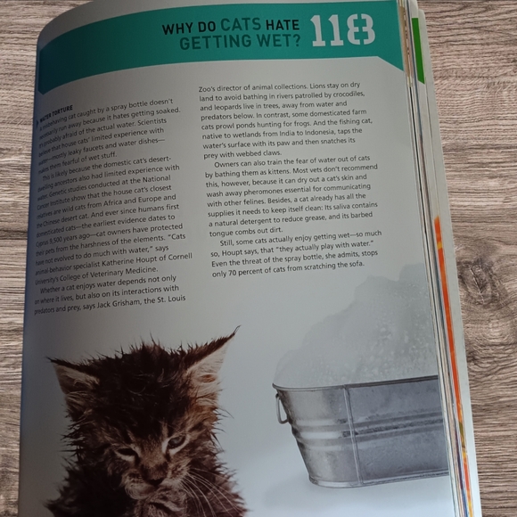 Book Of Answers - Picture 10 of 12